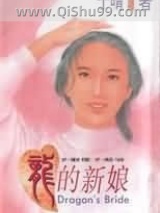 龙的新娘小说