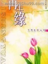 《再生缘》全本TXT下载-作者：岑凯伦
