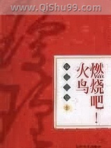 燃烧吧！火鸟小说