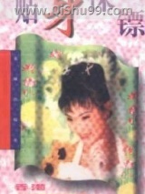 贴身保镖小说