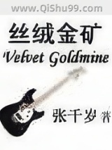 《丝绒金矿》全本TXT下载-作者：张千岁