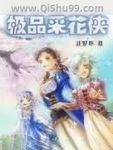《极品采花侠》全本TXT下载-作者：逆梦寒