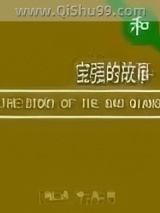 《宝强的故事》全本TXT下载-作者：和下