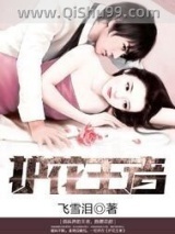 护花王者图片
