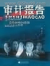 审计报告图片