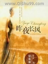 《昨夜长风》全本TXT下载-作者：梁凤仪