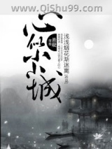 心似小小城图片