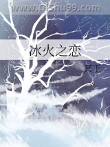冰火之恋小说