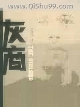 灰商小说