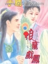 《浪龙戏凤》全本TXT下载-作者：于晴