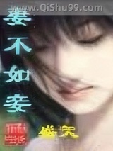 《妻不如妾》全本TXT下载-作者：盛天