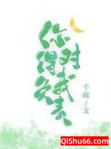 你得对我负责小说