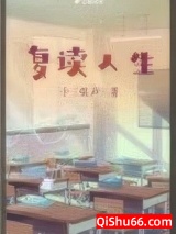 复读人生小说