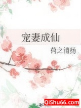 宠妻成仙图片