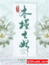 重生之木槿王妃图片
