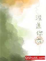 《没送你花》全本TXT下载-作者：怯喜