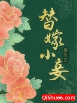 替嫁小妾重生后图片