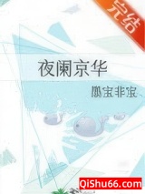 夜阑京华图片