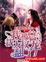 重生回新婚夜，我被总裁大叔宠翻了图片