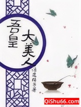 吾皇大美人（重生）图片