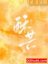 听见没小说