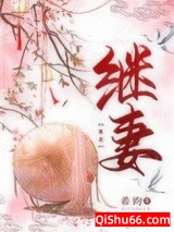 《继妻》全本TXT下载-作者：希昀