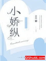 小娇纵小说