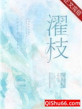 濯枝小说