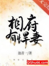 相府有悍妻图片
