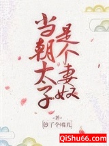 当朝太子是个妻奴图片