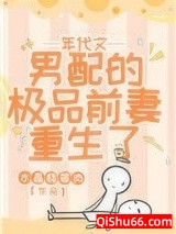 年代文男配的极品前妻重生了图片