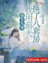 重生九零，我用前夫换了八套房图片
