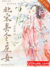 北宋县令庶女图片