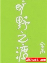 《旷野之渡》全本TXT下载-作者：金丙
