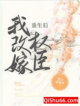 重生后我改嫁权臣图片
