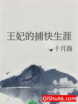 王妃的捕快生涯图片