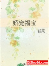 《娇宠福宝》全本TXT下载-作者：君莱