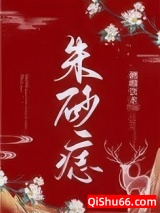 朱砂痣小说
