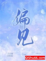 偏见小说