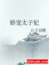 娇宠太子妃图片