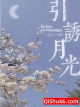 引诱月光小说