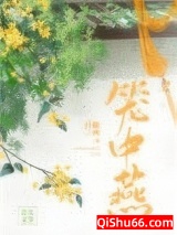 笼中燕小说