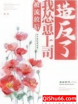 被流放后我怂恿上司造反了图片