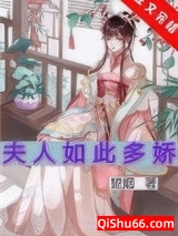 《夫人如此多娇》全本TXT下载-作者：望烟