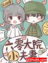 《六零大院小夫妻》全本TXT下载-作者：流烟萝