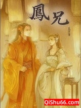 凤兄小说