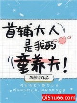 首辅大人是我童养夫图片