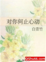 《对你何止心动（作者：白青竹）》全本TXT下载-作者：白青竹