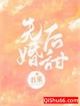 《先婚后甜》全本TXT下载-作者：君莱