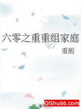 六零之重重组家庭图片